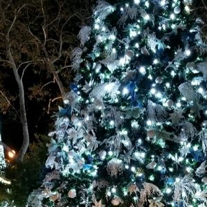 Meet your Posher, Cynthia